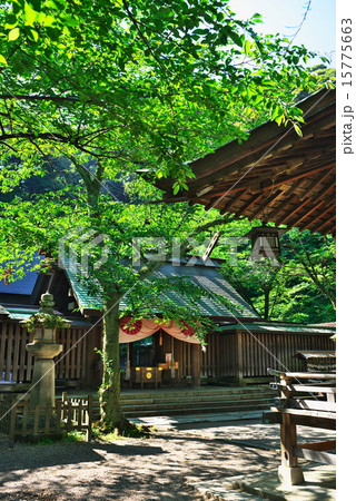 金崎宮＠敦賀 15775663