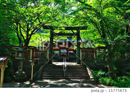 金崎宮＠敦賀 15775673