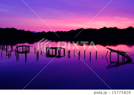 水上池の朝焼け(奈良市) 水上池の朝焼け(奈良市) 15775829