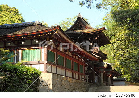 石上神宮 石上神宮 15775880