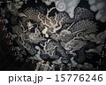 建仁寺の双龍図 15776246