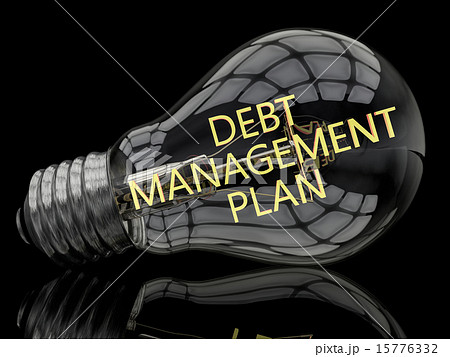Debt Management Plan 15776332