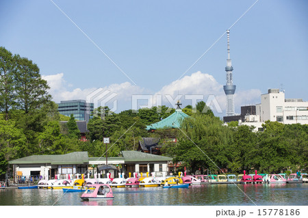 上野恩賜公園とボート の写真素材