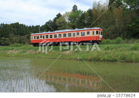 いずみ鉄道の観光急行列車 15778624