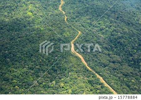 ボルネオの熱帯雨林　遠景 15778884