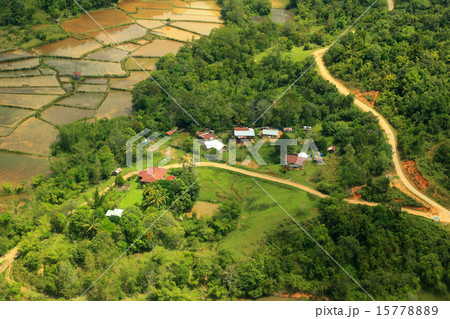 ボルネオの熱帯雨林　遠景 15778889