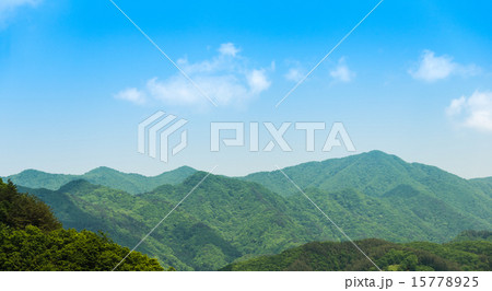 山の中 15778925