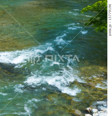 渓流 15779196
