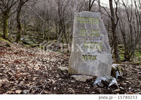 Stone of the poets in Busmayor beech. Stone of the poets in Busmayor beech. 15780253