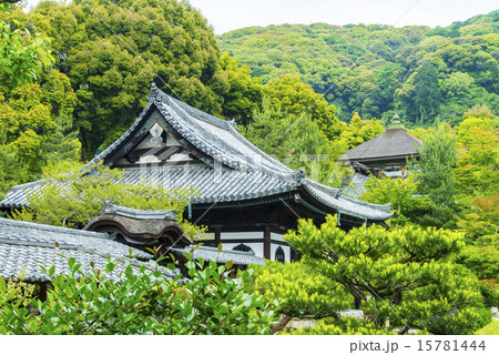 新緑の高台寺開山堂 新緑の高台寺開山堂 15781444