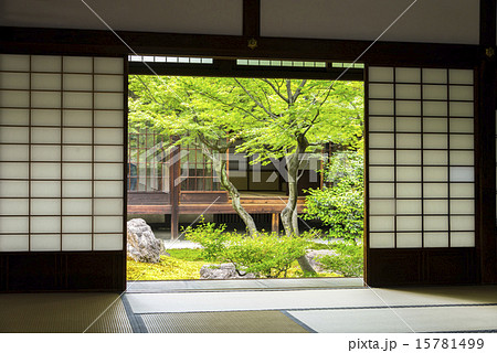 庭園と和建築 庭園と和建築 15781499