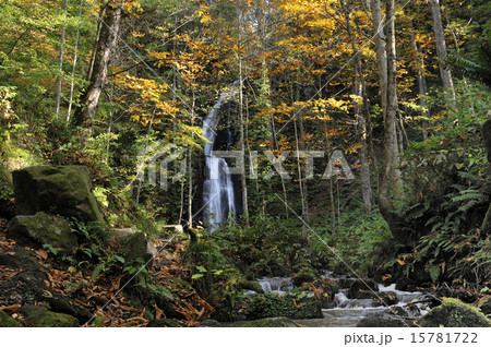 奥入瀬・雲井の滝 15781722