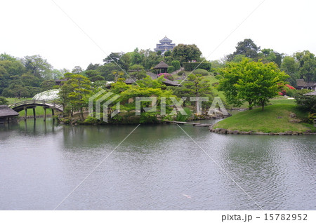 初夏の岡山後楽園 15782952