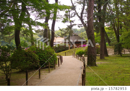 初夏の岡山後楽園 初夏の岡山後楽園 15782953