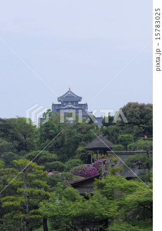 初夏の岡山後楽園殻岡山城を望む 初夏の岡山後楽園殻岡山城を望む 15783025