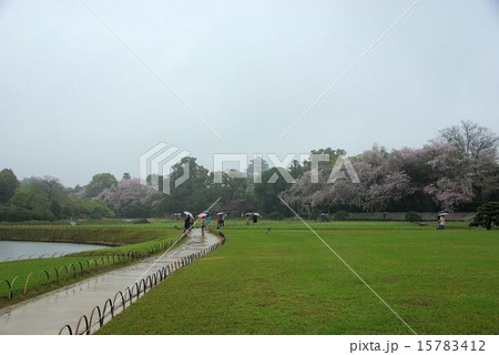 春雨の中の岡山後楽園 春雨の中の岡山後楽園 15783412