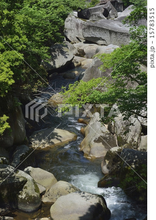 鬼の舌震 鬼の舌震 15783515