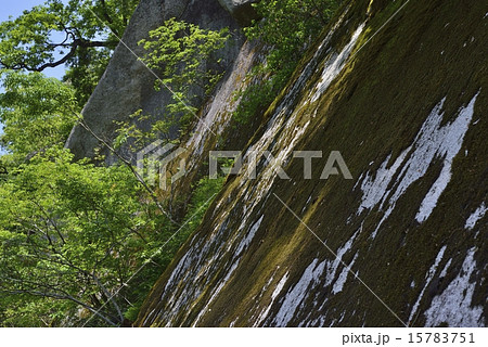 鬼の舌震 15783751