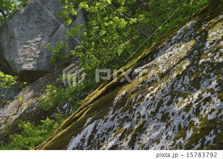 鬼の舌震 鬼の舌震 15783792