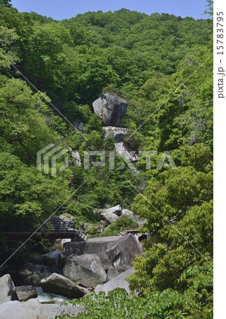 鬼の舌震 15783795