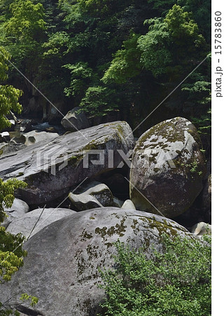 鬼の舌震 15783860