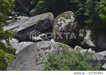 鬼の舌震 鬼の舌震 15783861