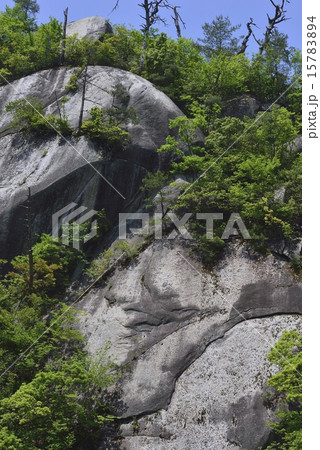 鬼の舌震(小天狗岩) 鬼の舌震(小天狗岩) 15783894