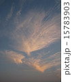 鳥雲 15783903
