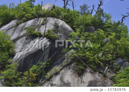 鬼の舌震（小天狗岩） 15783976