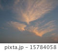 bird cloud 15784058