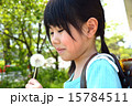 小学生とタンポポ 15784511