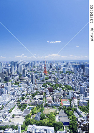 快晴青空　東京タワーと東京都心の街並　2015年5月撮影　湾岸エリアに多くの高層ビルが竣工 15784539
