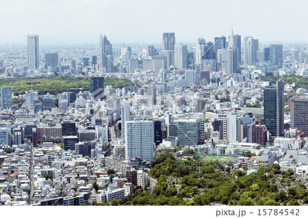 新宿高層ビル群と街並 15784542