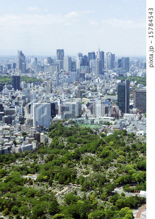 新宿高層ビル群と街並 15784543