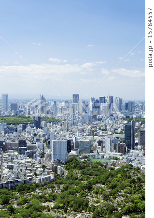 新宿高層ビル群と街並 新宿高層ビル群と街並 15784557