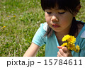 小学生とタンポポ 15784611