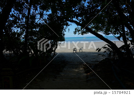 オーストラリア　ケープトリビュレーションビーチ　寄り添う椅子 15784921