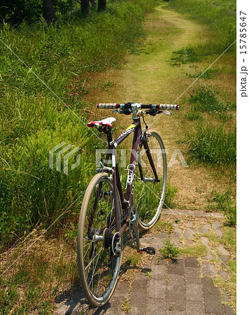 サイクリング 15785647