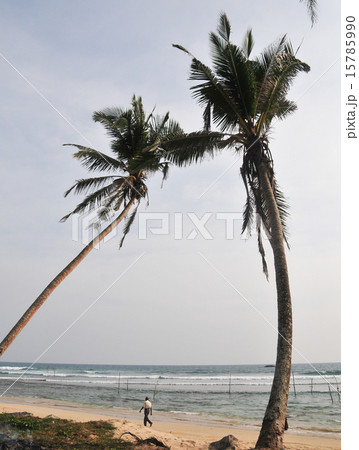 Beach in Hikkaduwa, Sri Lanka 15785990