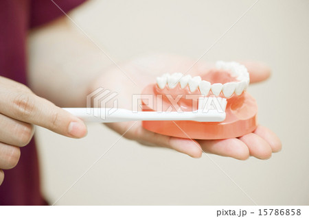 歯医者治療説明 15786858