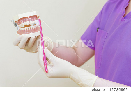 歯医者治療説明 15786862