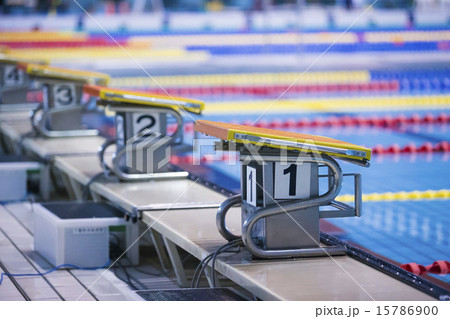 国際プール 15786900