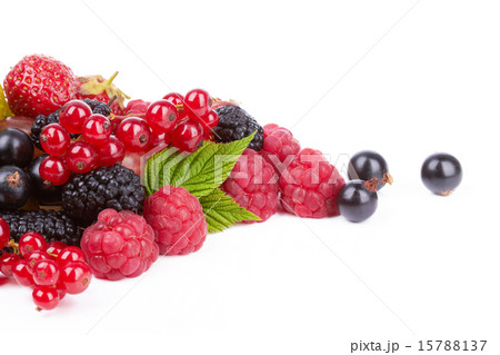 Berries 15788137