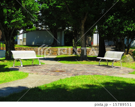 ベンチ ベンチ 15789551