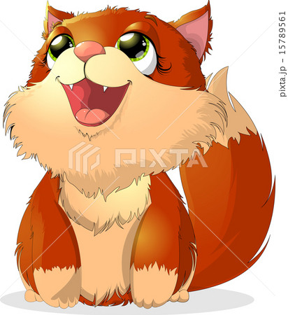 beautiful kitten  15789561