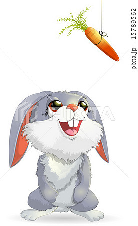 rabbit 15789562