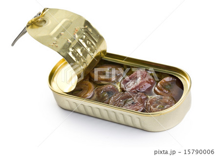 rolled anchovy with capers 15790006