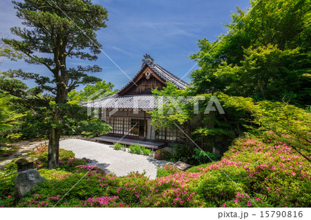 初夏の金福寺 15790816