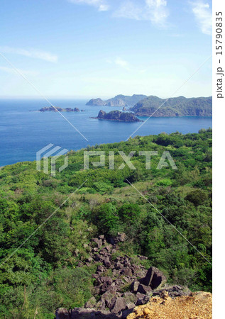 父島の三日月山　展望台（ウェザーステーション）周辺の風景 15790835