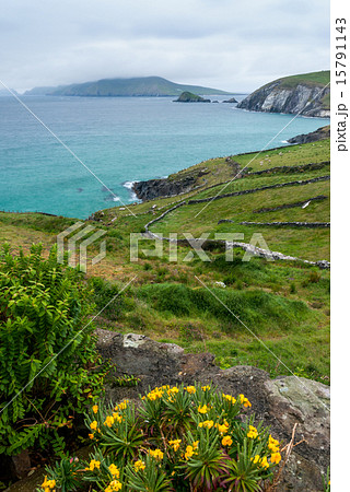 Slea Head in Dingle Peninsula Slea Head in Dingle Peninsula 15791143